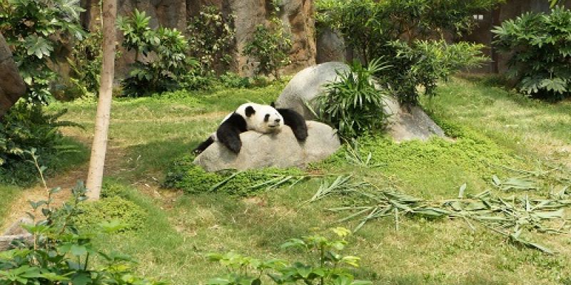 Carole Ann Rice Blog