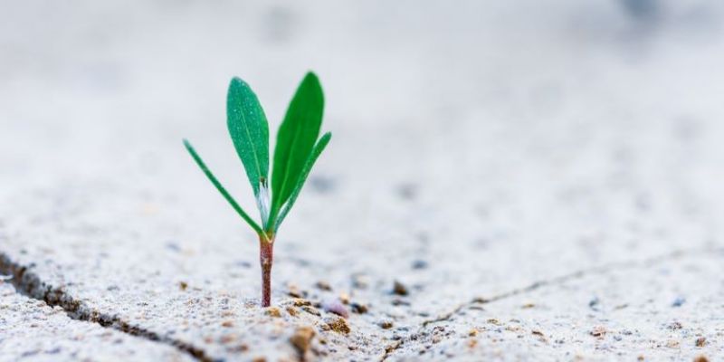 how to focus on personal growth