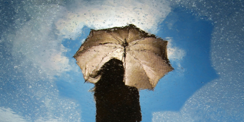 Carole Ann Rice Blog